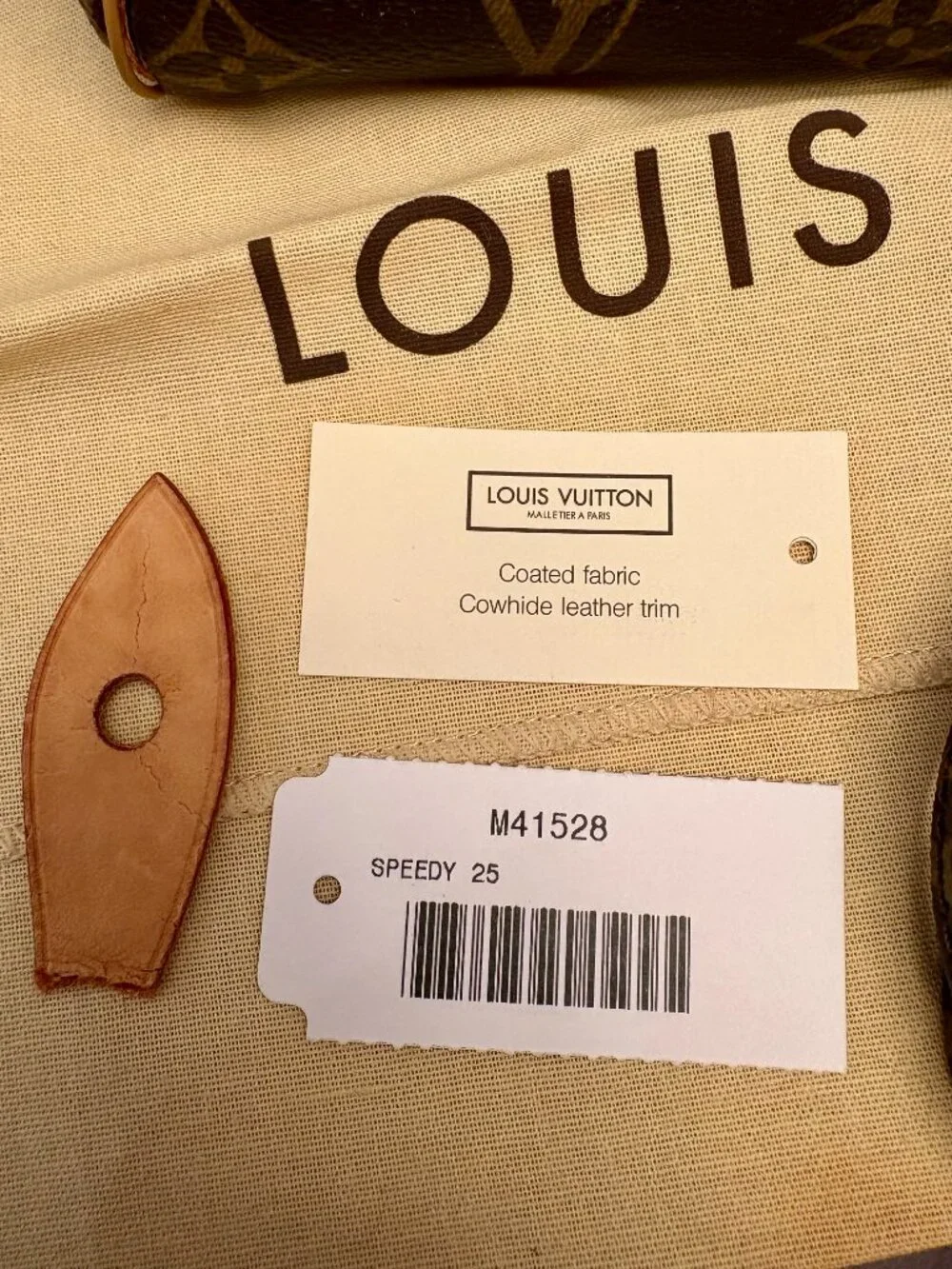 Louis Vuitton Speedy Bag with Shoulder Strap